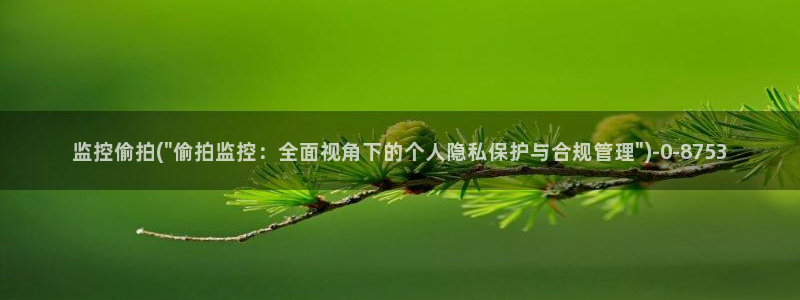 偷拍国内外视频