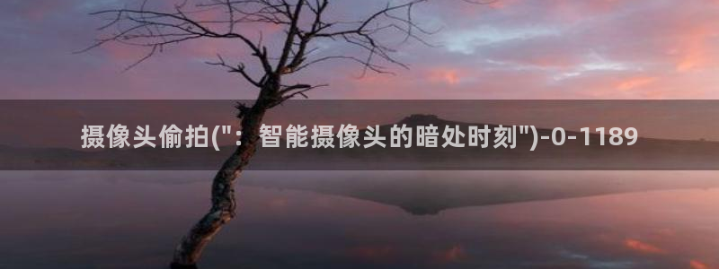 自拍偷拍动漫：摄像头偷拍(\