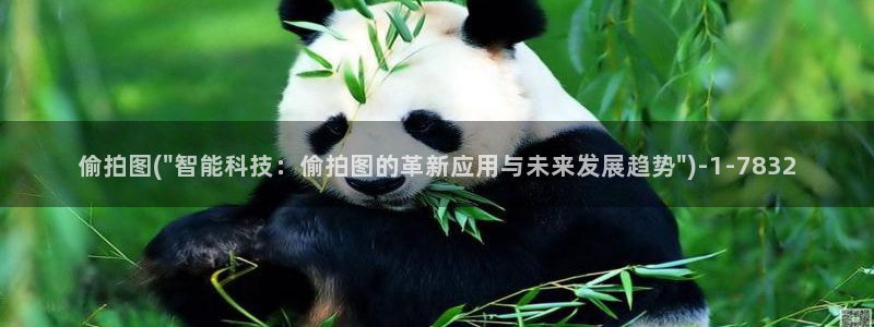 偷拍自拍色：偷拍图(\