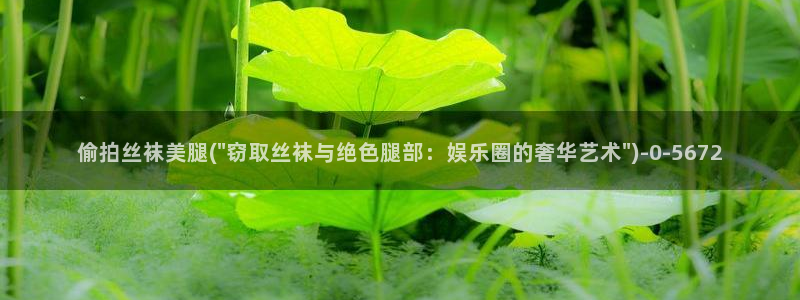 偷拍性视频：偷拍丝袜美腿(\