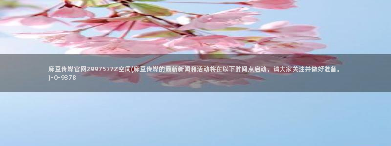 麻豆 下载资源：麻豆传媒官网2997577Z空间