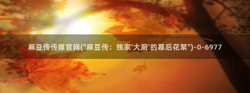 麻豆视频专区更新：麻豆传传媒官网(\