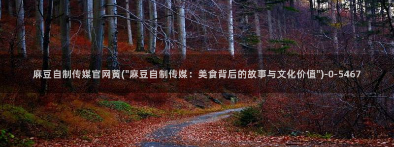 麻豆视频 官方视频：麻豆自制传媒官网黄(\