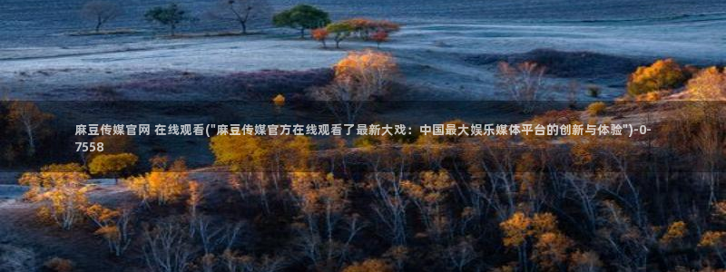 麻豆视频合集最新：麻豆传媒官网 在线观看(\