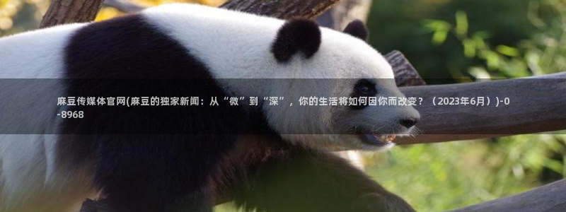 麻豆视频 在线看在线看：麻豆传媒体官网(麻豆的独家新