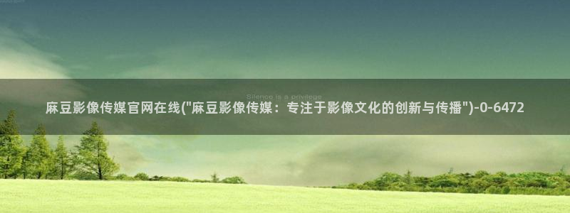 麻豆视频 推荐视频：麻豆影像传媒官网在线(\