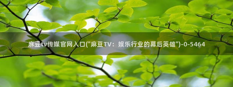 麻豆 合集推荐：麻豆tv传媒官网入口(\