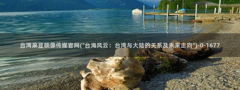 麻豆视频下载入口：台湾麻豆映像传媒官网(\