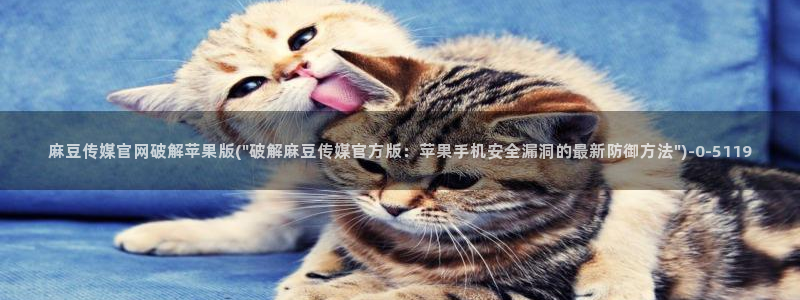 麻豆视频 推荐整理：麻豆传媒官网破解苹果版(\