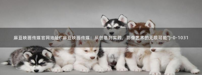 麻豆视频高清推荐：麻豆映画传媒官网地址(\