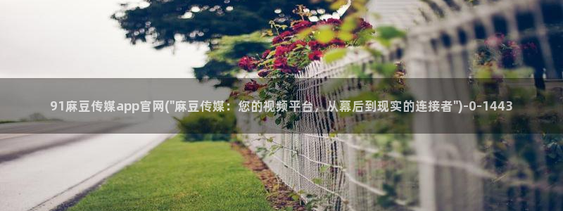 麻豆视频内容整理：91麻豆传媒app官网(\