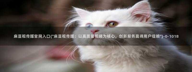 麻豆 精选入口：麻豆视传媒官网入口(\