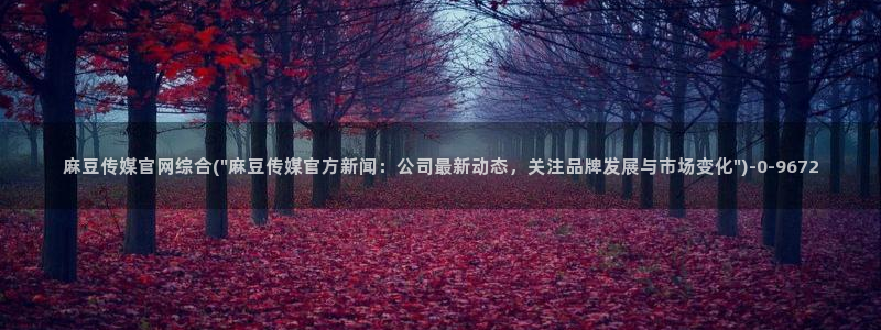 麻豆视频专区更新：麻豆传媒官网综合(\