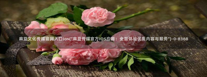 麻豆精选专区：麻豆文化传媒官网入口ios(\