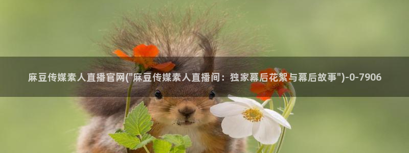 麻豆视频 图集最新：麻豆传媒素人直播官网(\
