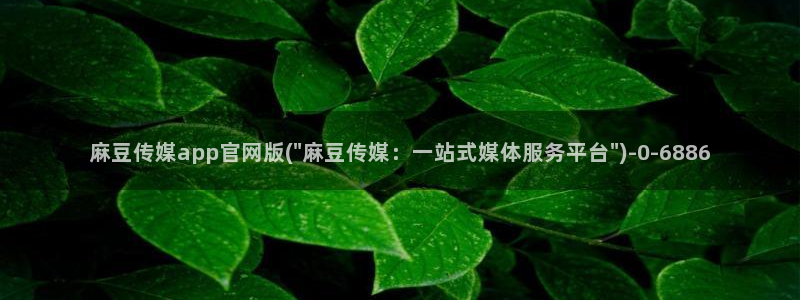 麻豆高清资源