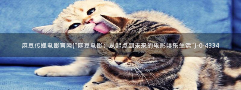 麻豆视频下载专区：麻豆传媒电影官网(\