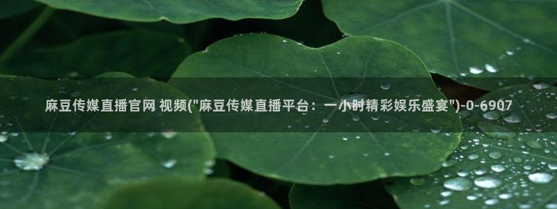 麻豆视频 在线看最新：麻豆传媒直播官网 视频(\