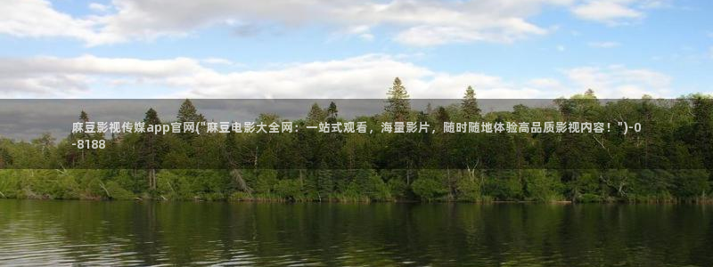 麻豆视频入口最新
