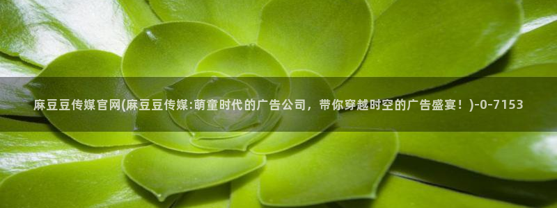 麻豆 资源视频：麻豆豆传媒官网(麻豆豆传媒:萌童