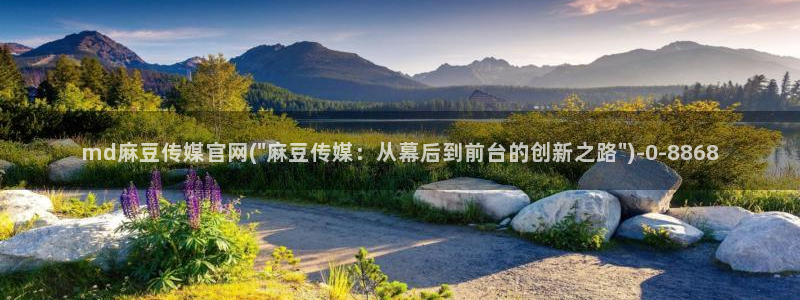 麻豆视频 导航：md麻豆传媒官网(\