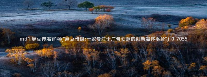 麻豆视频短片最新：md1.麻豆传媒官网(\