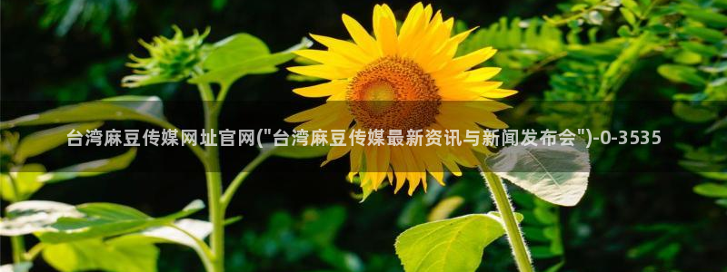 麻豆视频内容入口：台湾麻豆传媒网址官网(\