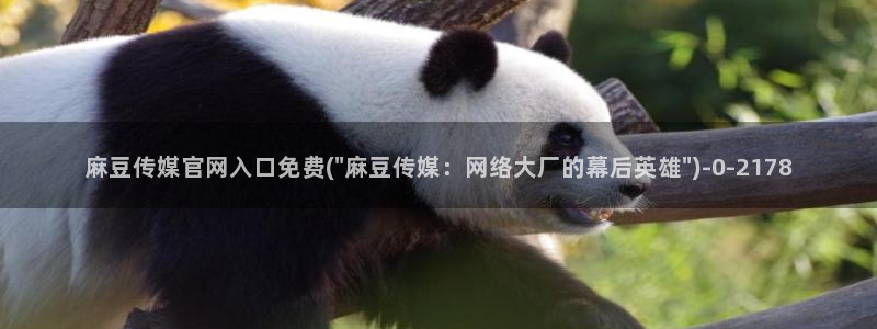 麻豆 在线看合集