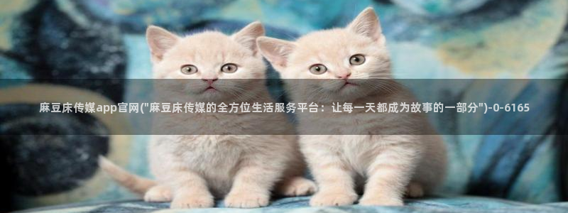 麻豆视频内容入口：麻豆床传媒app官网(\