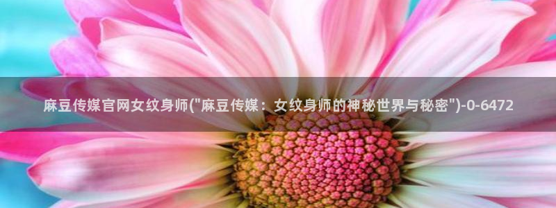 麻豆 合集资源：麻豆传媒官网女纹身师(\