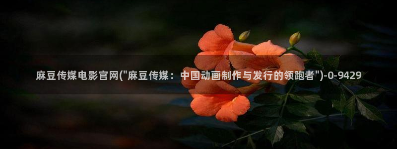 麻豆视频 推荐下载：麻豆传媒电影官网(\