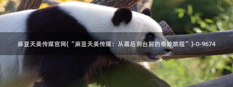 麻豆 精选：麻豆天美传媒官网(“麻豆天美传媒：从幕后