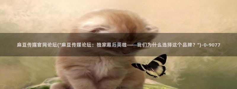 麻豆 专区：麻豆传媒官网论坛(\