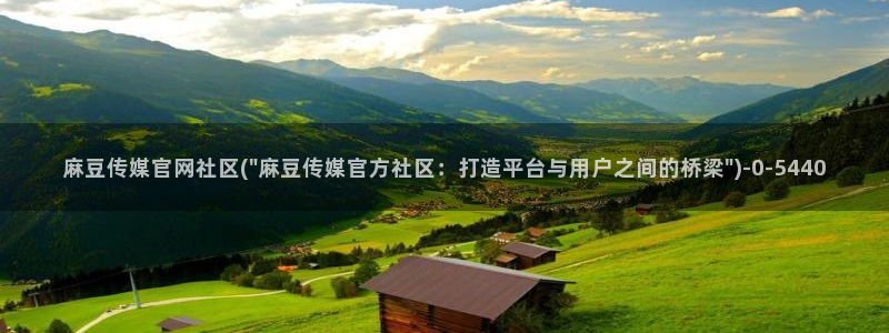 麻豆入口入口：麻豆传媒官网社区(\